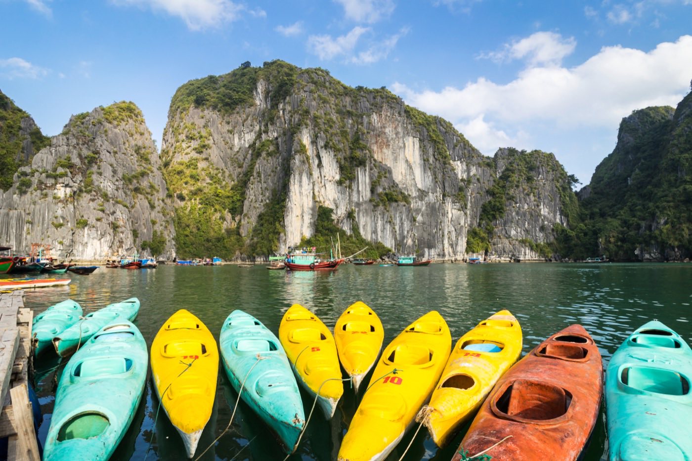 Vietnam Pre-Arrival Form for Russian Citizens in 2026