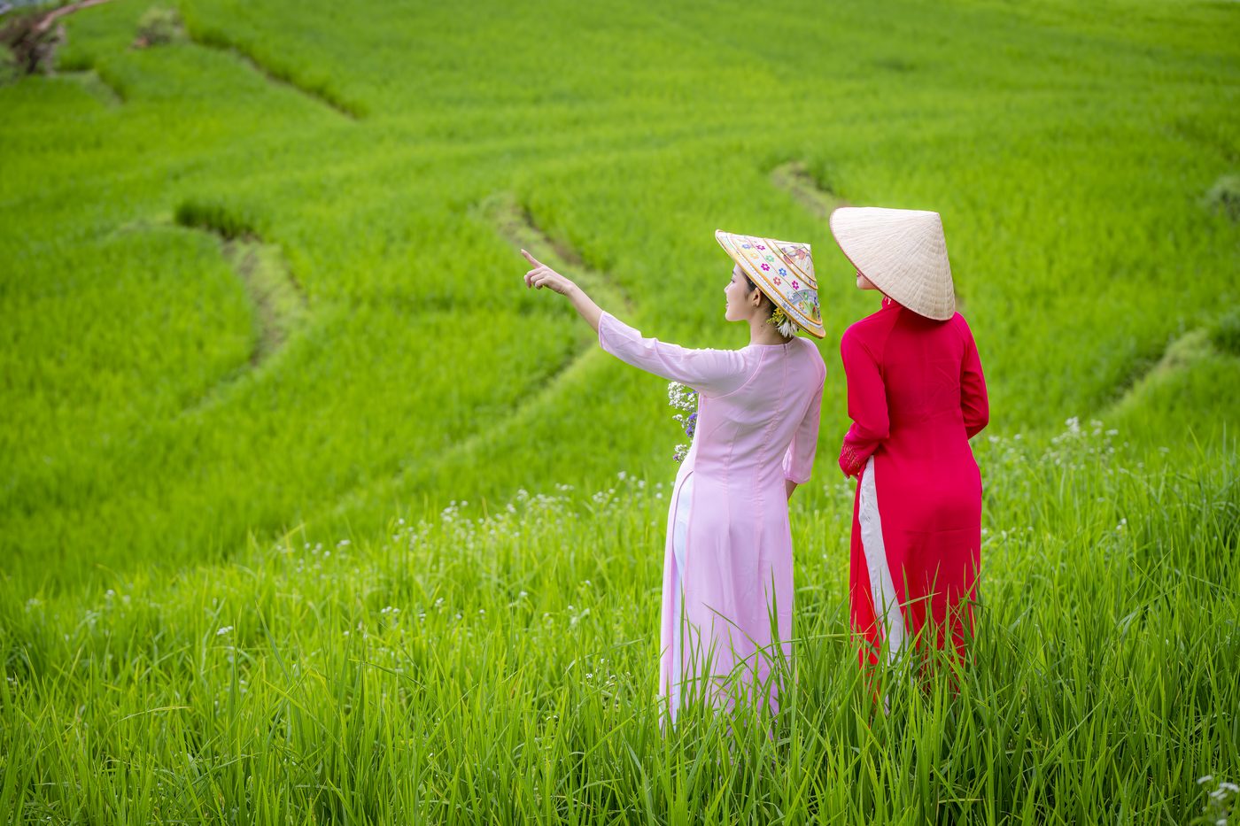 Two women in traditional dress and conical hats standing in a green Vietnamese rice field