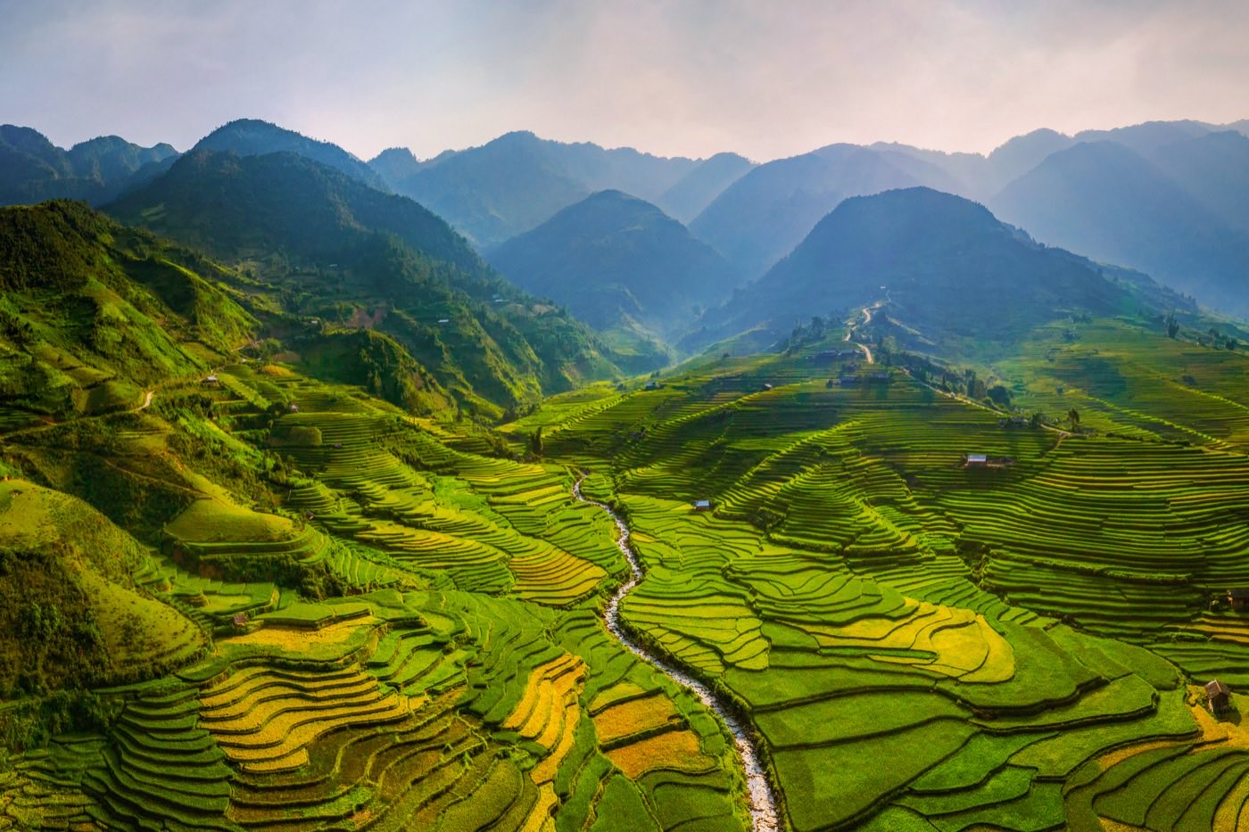 Vietnam Pre-Arrival Form for Cam Ranh Airport (CXR)